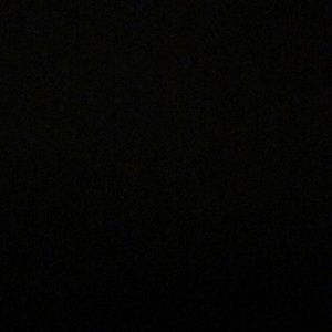 Meet your Posher, Mara